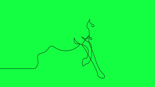 绿屏上孤立矢量对象马的连续一条线绘制的自画动画视频