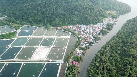 查看KulaJuru森林和河流附近的空中养鱼场视频