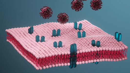 细胞膜和医学概念3D感知视频