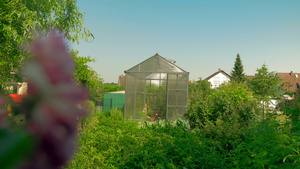 郊区后院花园和番茄温室10秒视频