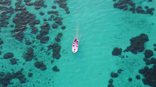 浅海和棕榈附近清洁沙滩背景的阳光明媚的沿海海滩海景视频