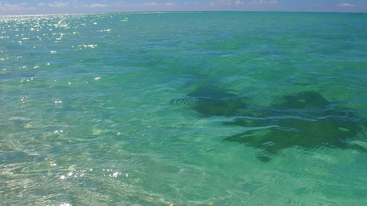 豪华海湾海滩冒险的绝密性质由松绿海和接近海浪的白色视频