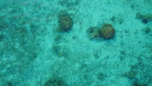 复制美丽的海岸海滩野生动物的太空旅行在海浪附近有白色视频