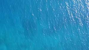 热带岛屿的浪漫纹理在海浪附近有白色沙滩背景的松绿海滨14秒视频
