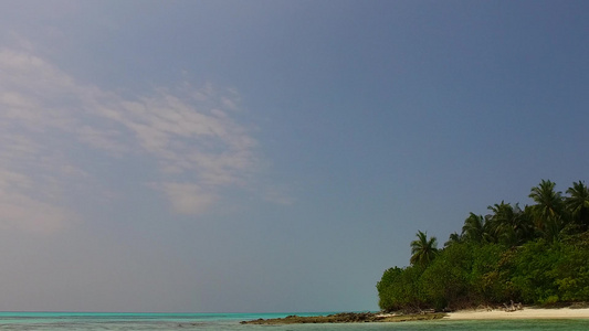 棕榈附近有白沙背景的浅海野生生物风景阳光明媚视频