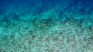 日落前蓝水和白色沙滩背景的宁静湾海滩假日天天10秒视频