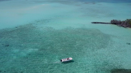 日落前白沙背景透明水放松海滨海滩野生动物的浪漫景观视频