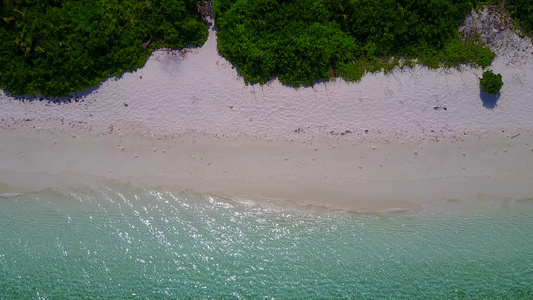 以松绿水和棕榈附近的白沙背景绘制的海洋海岸线野生生物视频