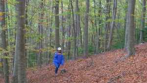 秋天青年女旅游者在山脚林中行走17秒视频