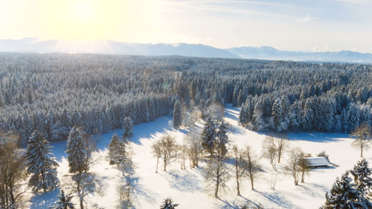 冬季景观视频