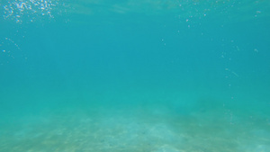 年轻运动员在海中游泳27秒视频