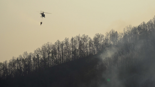 消防直升机从水桶中向森林纵火浇水视频