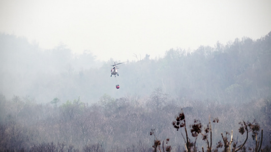 消防直升机从水桶中向森林纵火浇水视频