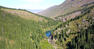 树从山湖深处27秒视频