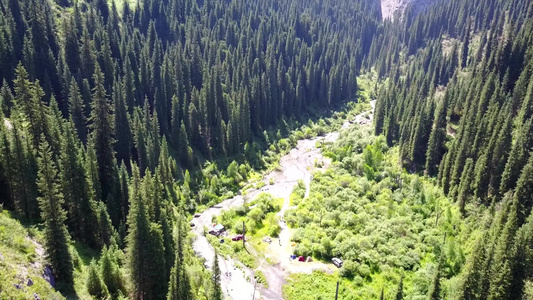 树从山湖深处升起视频