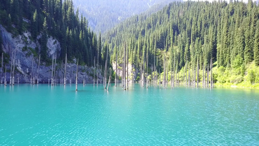 树从山湖深处升起视频