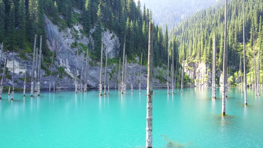 树从山湖深处升起视频