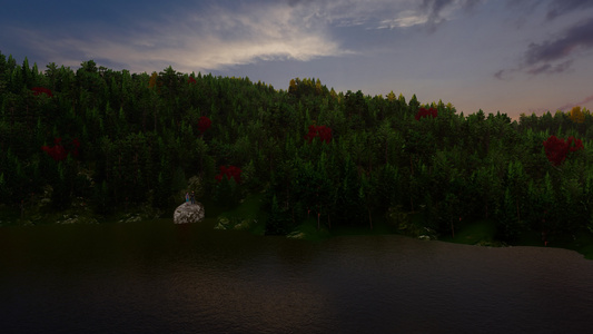 一对夫妇在河里的岩石上日落时森林背景里有森林视频