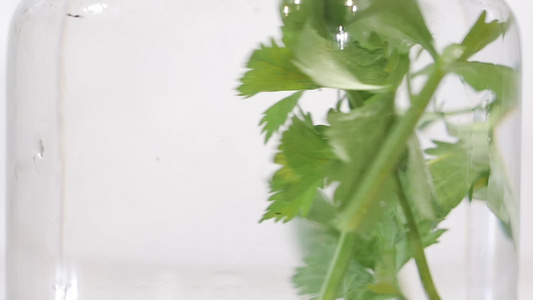 超级慢动作新鲜有机芹菜枝和叶子在水玻璃中转动素食主义者视频
