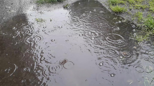 春雨降下水滴在水坑中滴水视频