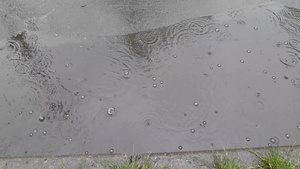 春雨降下水滴在水坑中滴水13秒视频