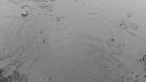 春雨降下水滴在水坑中滴水11秒视频