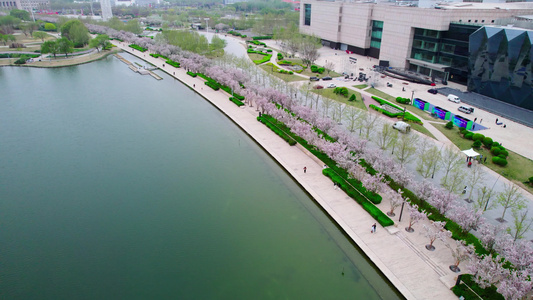 天津文化中心海棠花景观航拍视频