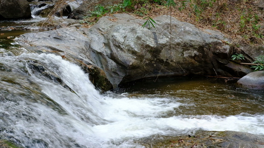 夏季森林中流淌的溪水视频