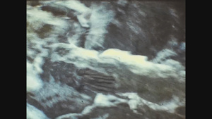 1965年统一王国三鲑鱼河3号12秒视频