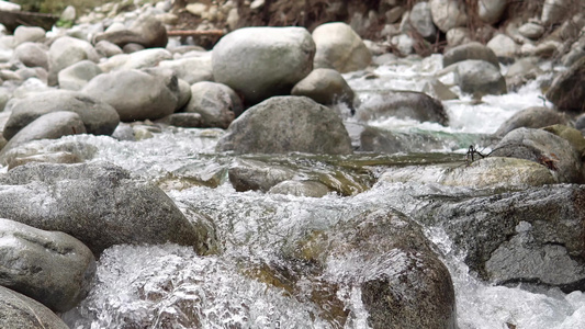 秋林沿山河流的秋天森林一带的大块弯曲石石和岩石视频