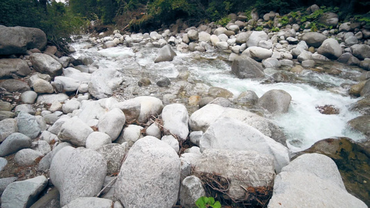 秋林沿山河流的秋天森林中缓慢移动的大型弯曲石块和岩石视频