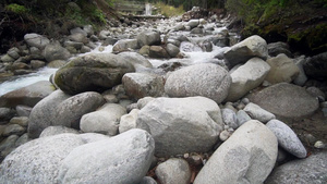 秋林沿山河流30秒视频