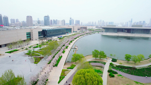 天津文化中心海棠花景观航拍视频