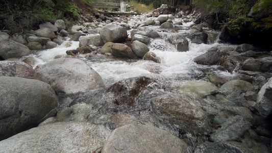 秋林沿山河流的秋天森林中缓慢移动的大型弯曲石块和岩石视频