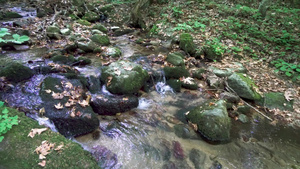 林中岩石之间流淌的溪流18秒视频