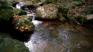 岩间小溪流19秒视频