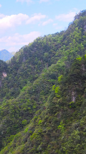 5A风景区神农架林区原始森林航拍合集视频