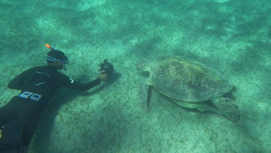 海龟在水下喷射视频