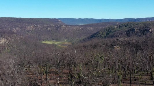 在奥斯特利亚新南面的青山区域小峡谷中蓝山发生野火后视频