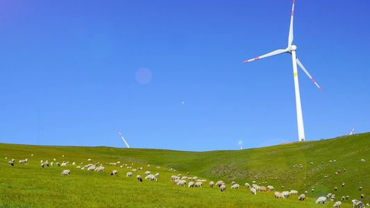 草原上的风车羊群视频