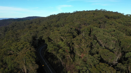 在澳洲蓝色山峰的巨长谷发生无人机喷雾视频
