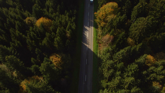 森林中的道路视频