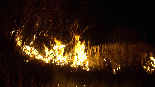 夜间烧稻草视频