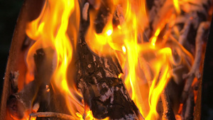木炭和火火60秒视频