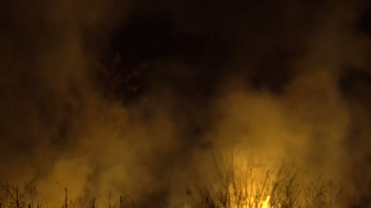 火灾野火在烟雾中燃烧松林和夜间火焰视频