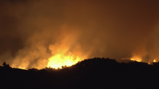 夜间燃烧林木的烈火视频