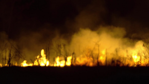 半夜在田里烧稻草和干草在野火中射出的模糊片段18秒视频