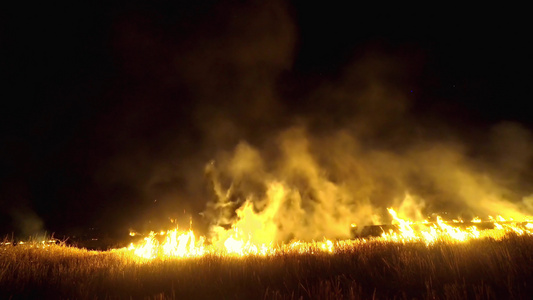 夜间森林野火整个地区被火焰和黑烟云覆盖视频