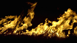 火在夜间烧焦稻草和田地干草19秒视频
