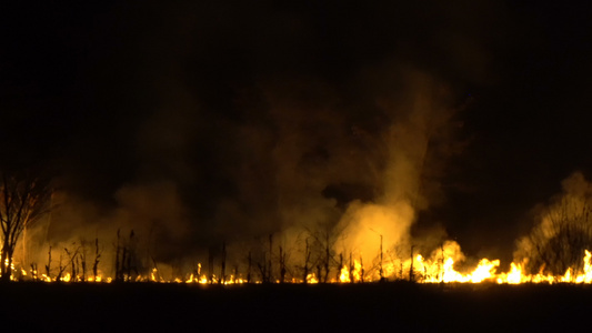 气候变化导致的森林火灾造成森林火灾视频